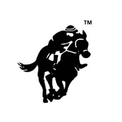 Horsemen Brand Glue Adhesives